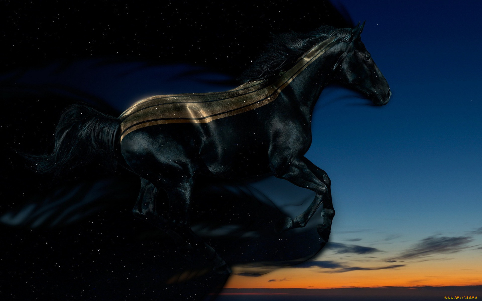 Черный конь песня. Вороной Мустанг иноходец. Лошадь Мустанг иноходец. Черный конь. Лошадь на темном фоне.